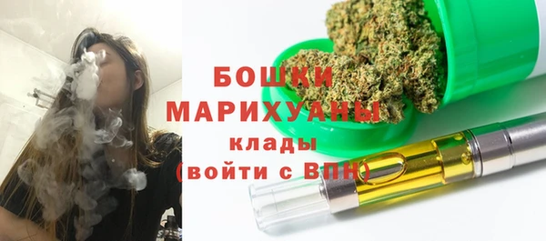 амф Богородицк