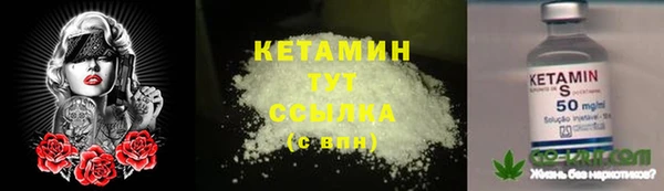 дмт Осташков