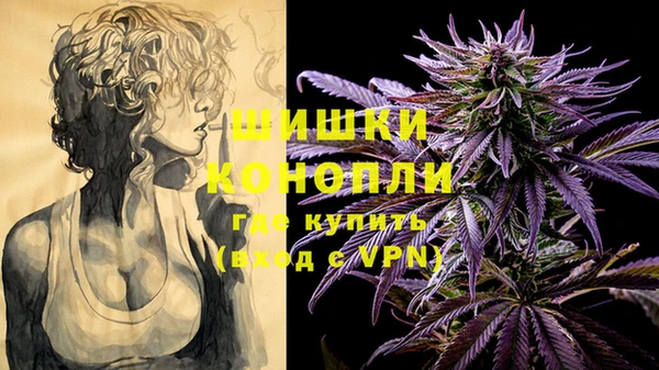 сатива Белоозёрский