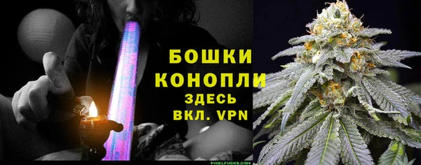 сатива Белоозёрский